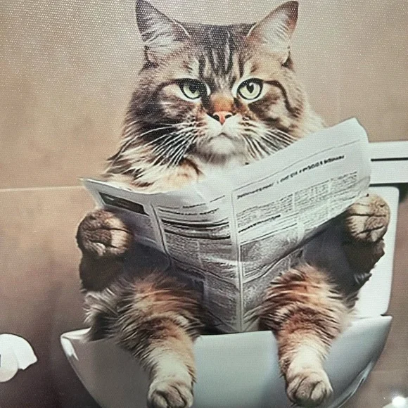 Cat going Potty Reading Newspaper Wall Art - Picture 5 of 6